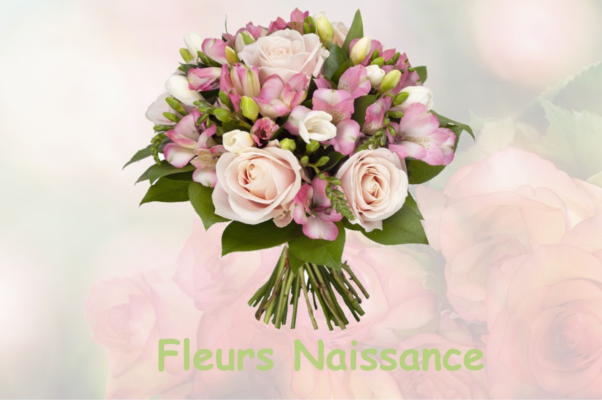 fleurs naissance LUCENAY-L-EVEQUE